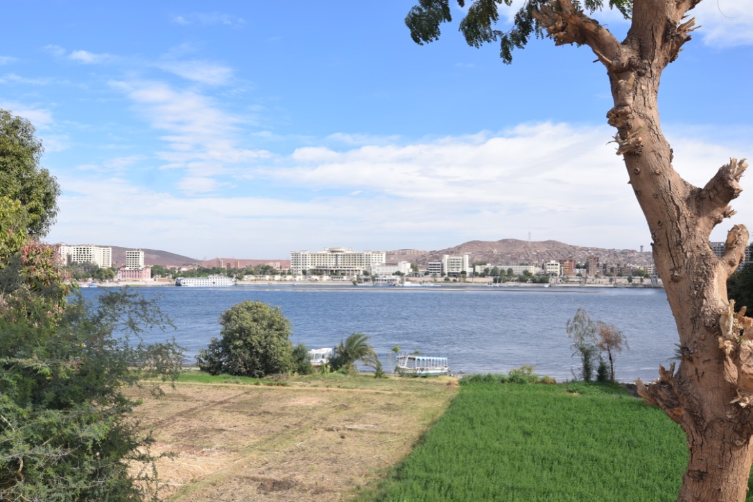 View from my hotel in Aswan. 