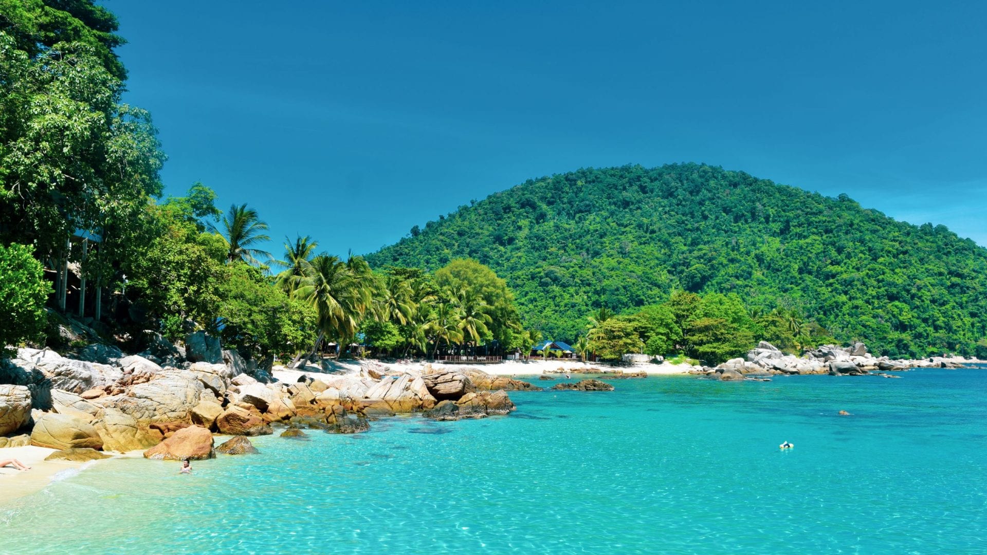 Palm Tree and Mountains in Pulau Perhentian