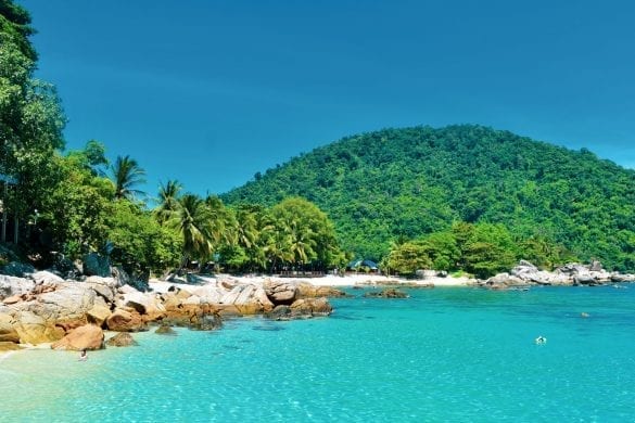 Palm Tree and Mountains in Pulau Perhentian