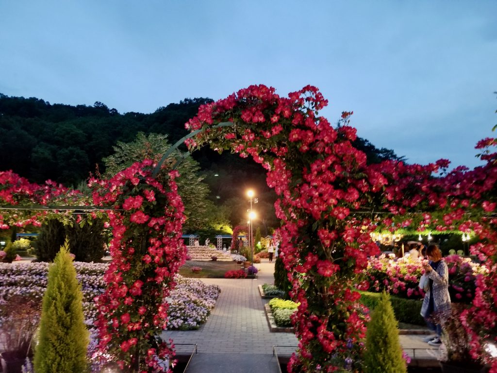 Ashikaga Flower Park night illumination wisteria lights Japan