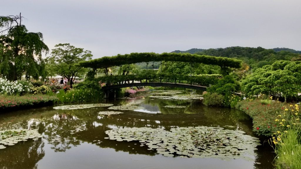 Traditional Japanese bridge pond Ashikaga Flower Park