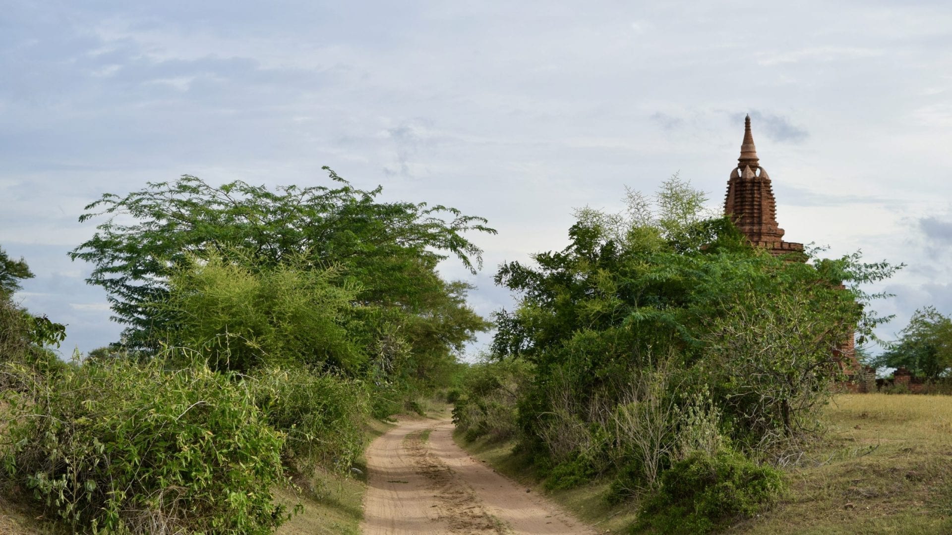 Dirt road in Bagan