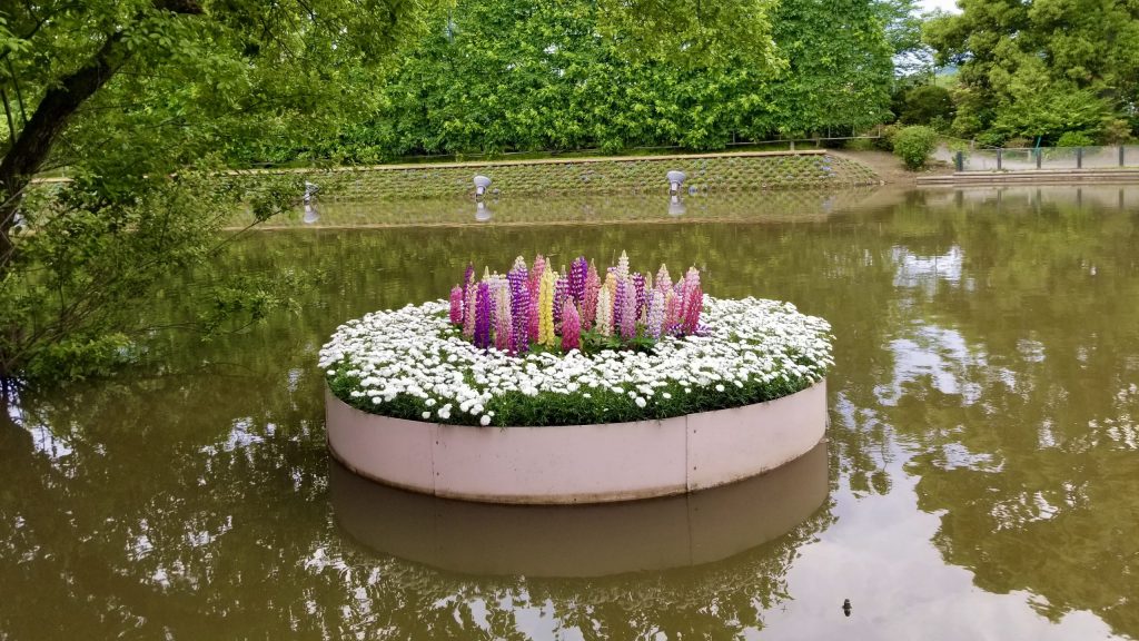 Flowers on lake at Ashikaga Flower Park Japan reflection