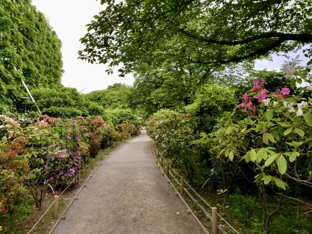 Flower pathway walkway Ashikaga Flower Park Japan spring