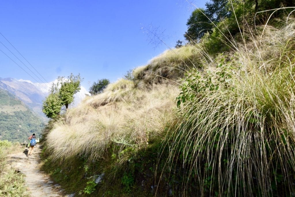 Wild trekking path in Nepal