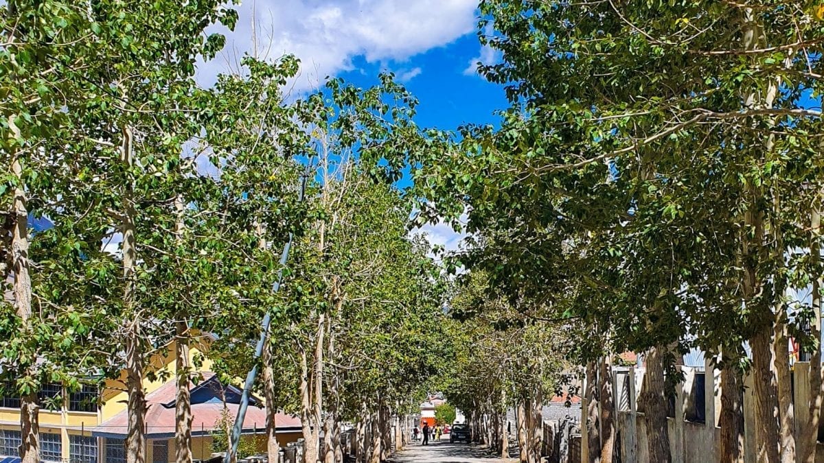 Street of New Kaza