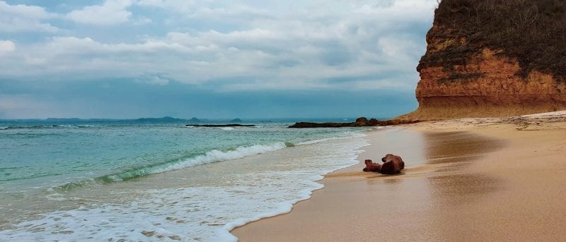 Quiet Paradise Beach in Ekas Lombok