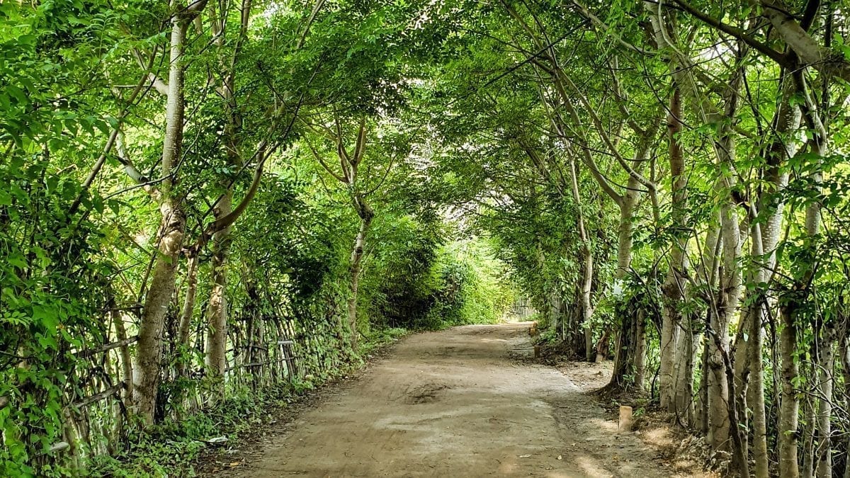 Road in Gili Air