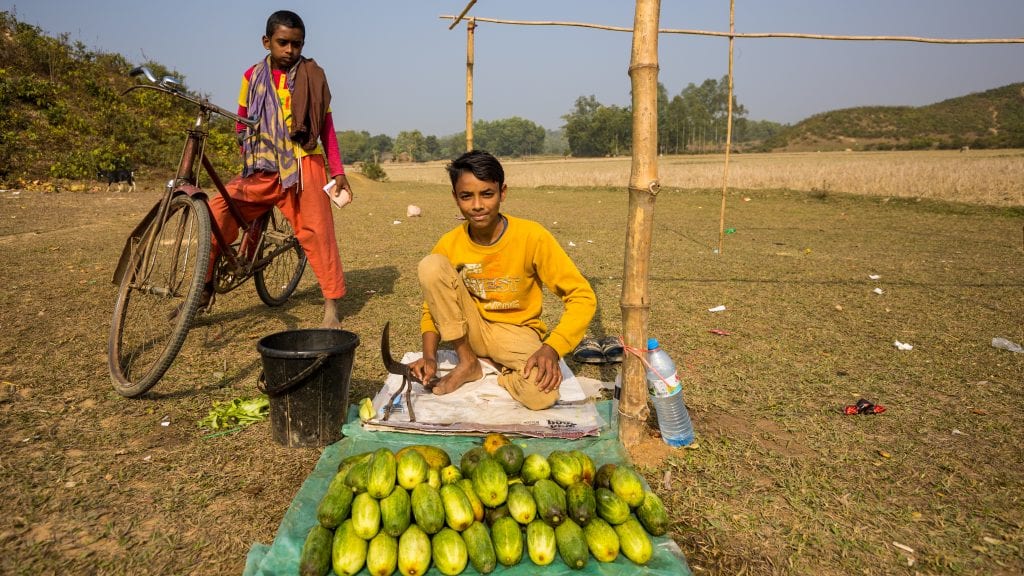 Cucumber Seller in Birishiri