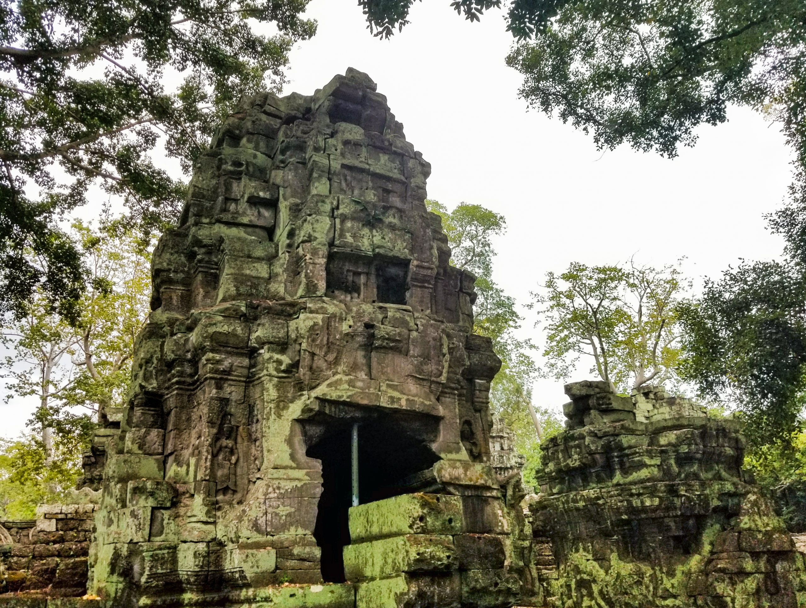Big Sculpture of Ta Prohm - Temples in Siem Reap
