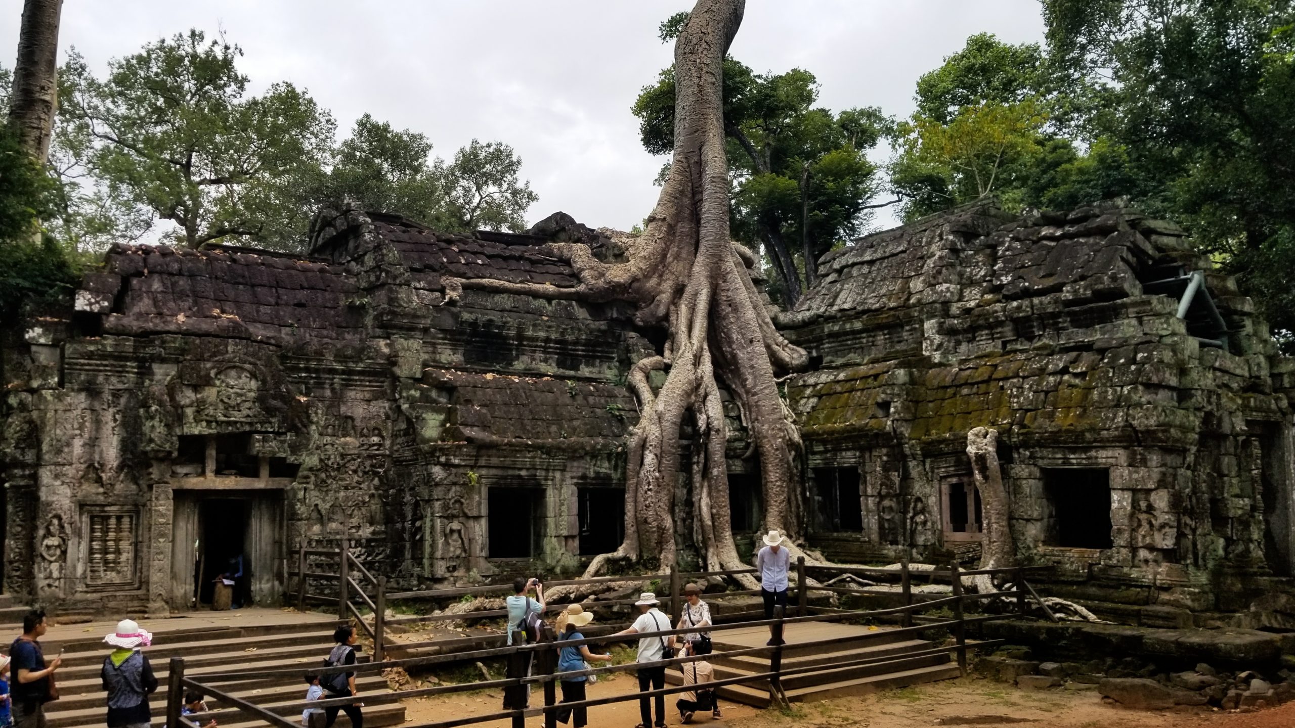 Ta Prohm in Cambodia - Temples in Siem Reap