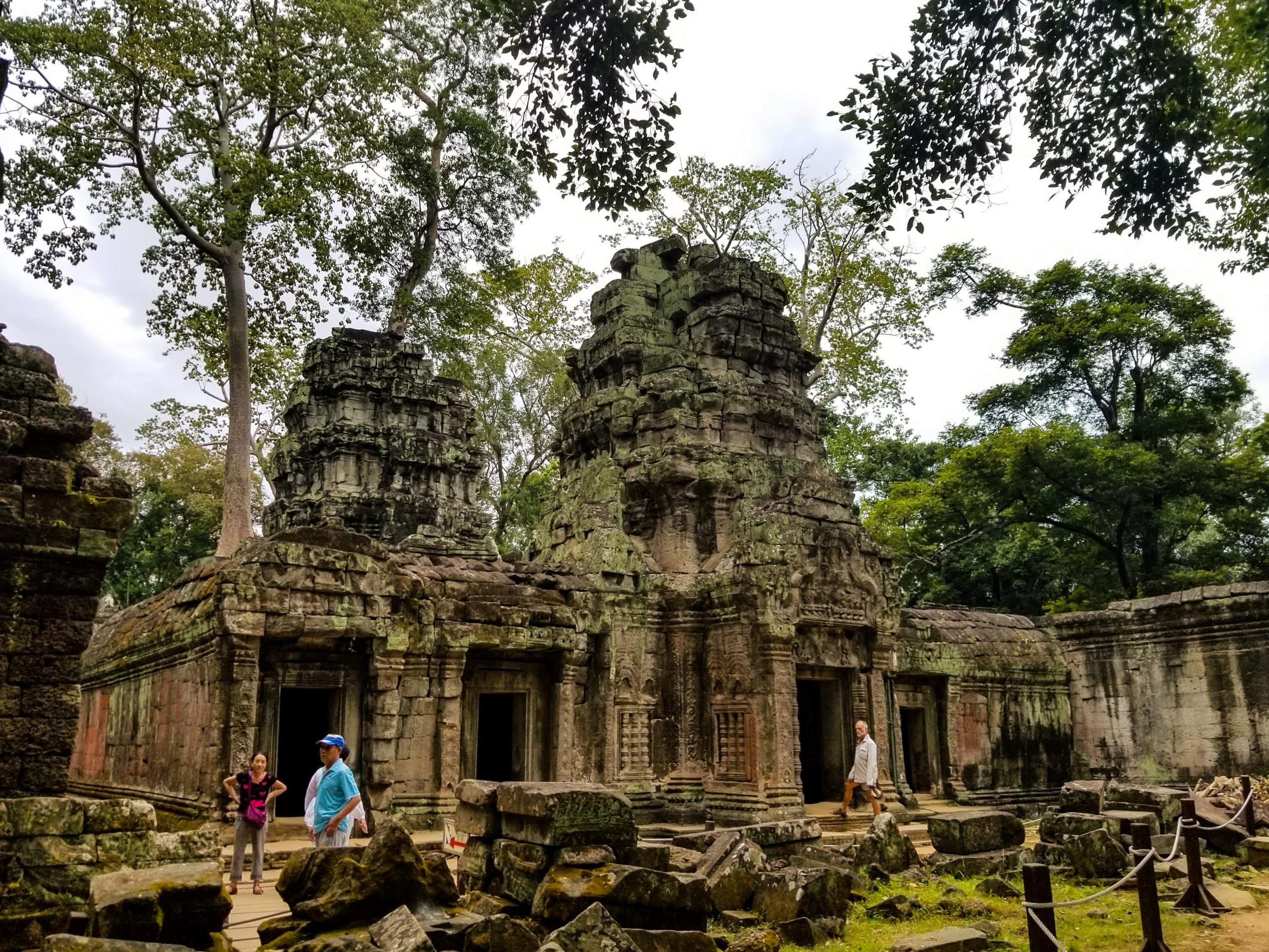 Ta Prohm Temple - Temples in Siem Reap