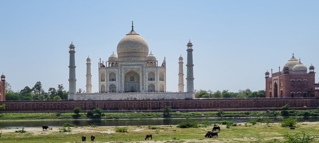Backside of the Taj from Moonlight Garden in Agra