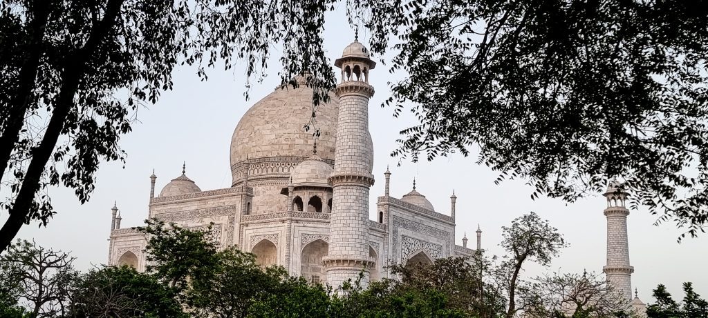 Taj seen from the garden