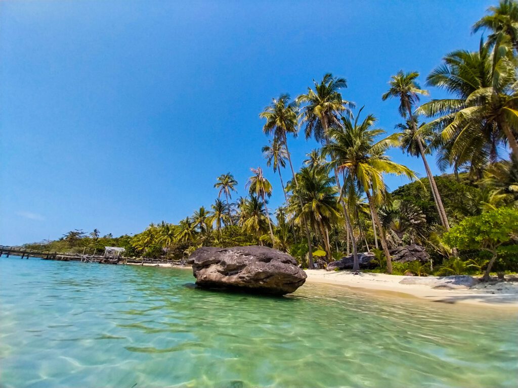Rock and Coconut trees Ao Noi Beach Koh Kood