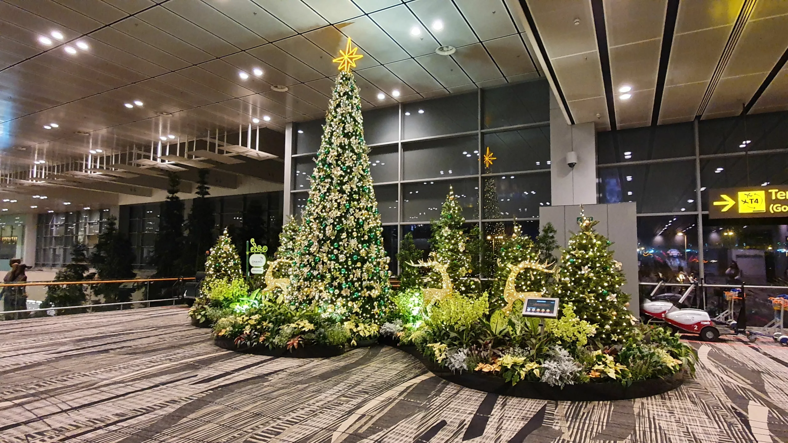 Christmas Tree in Changi