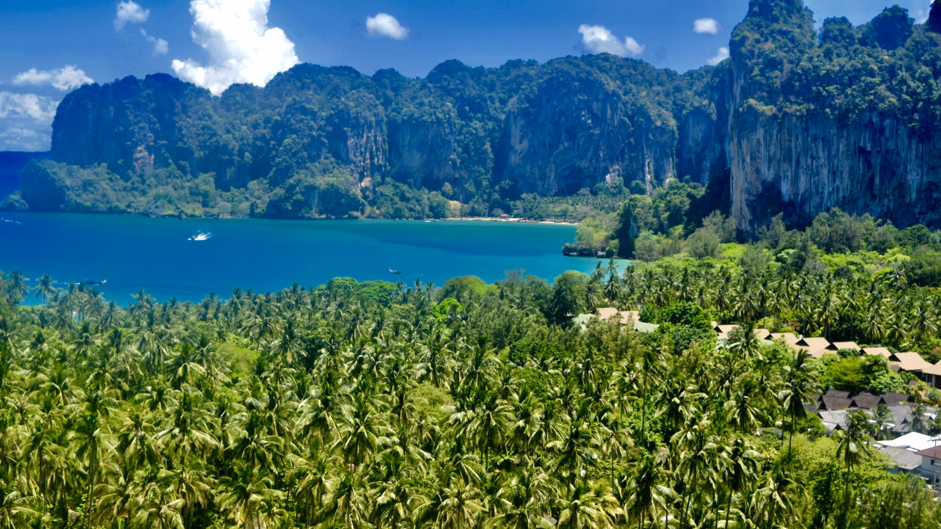 Panoramic view from Koh Phi Phi viewpoint showing twin bays, turquoise water, dense palm trees and dramatic limestone karst cliffs, Krabi, Thailand