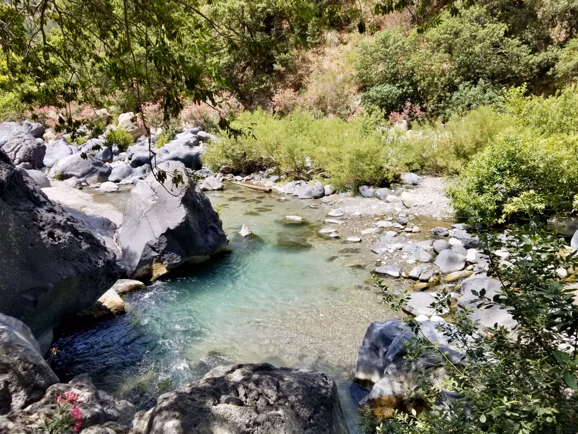 Alcantara Gorges Sicily turquoise river flowing between dark basalt boulders with pink oleander and green vegetation