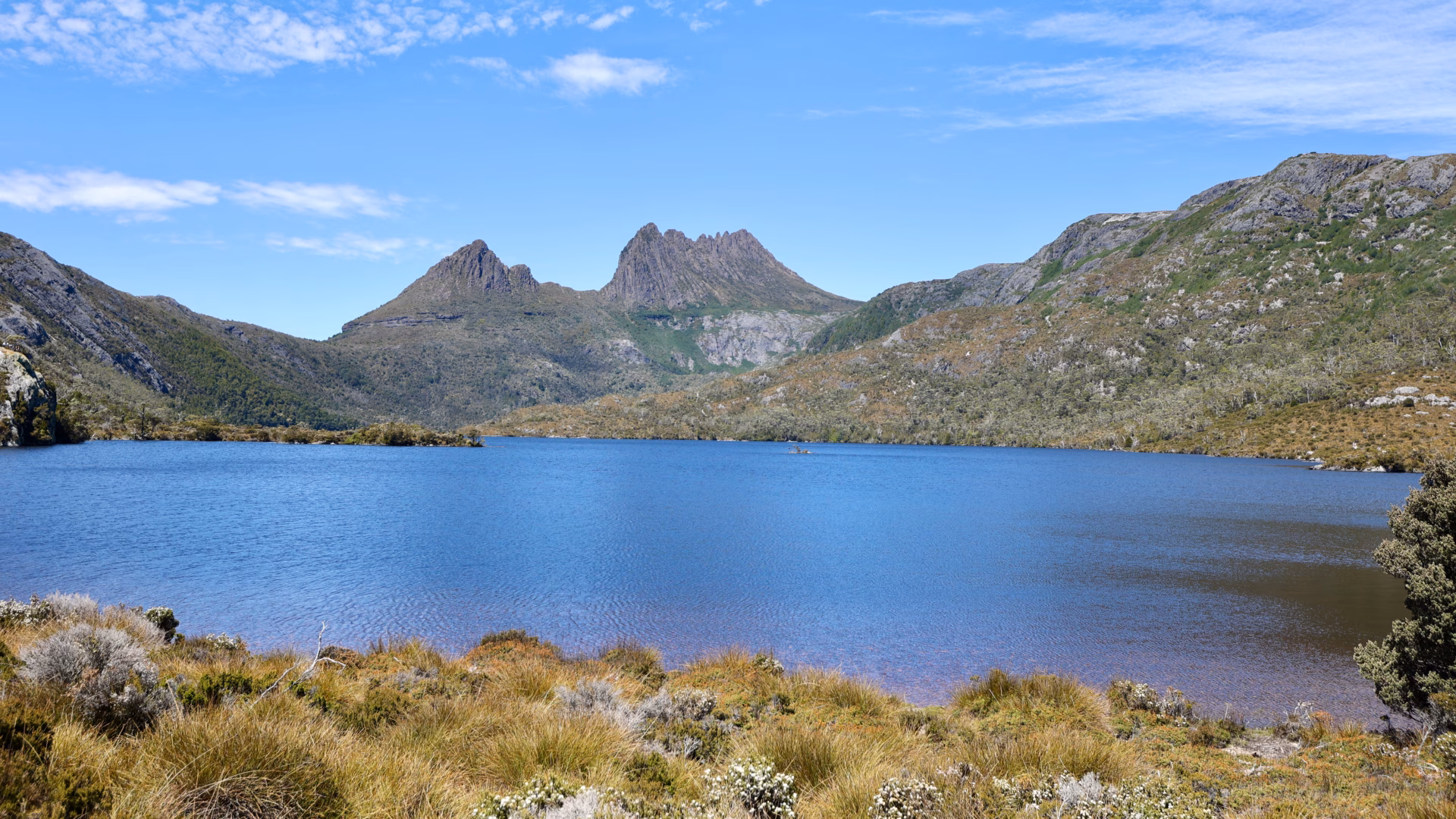 Classic view of Dove Lake with the jagged rocky peaks of Cradle Mountain perfectly reflected in the still blue water surrounded by alpine heath
