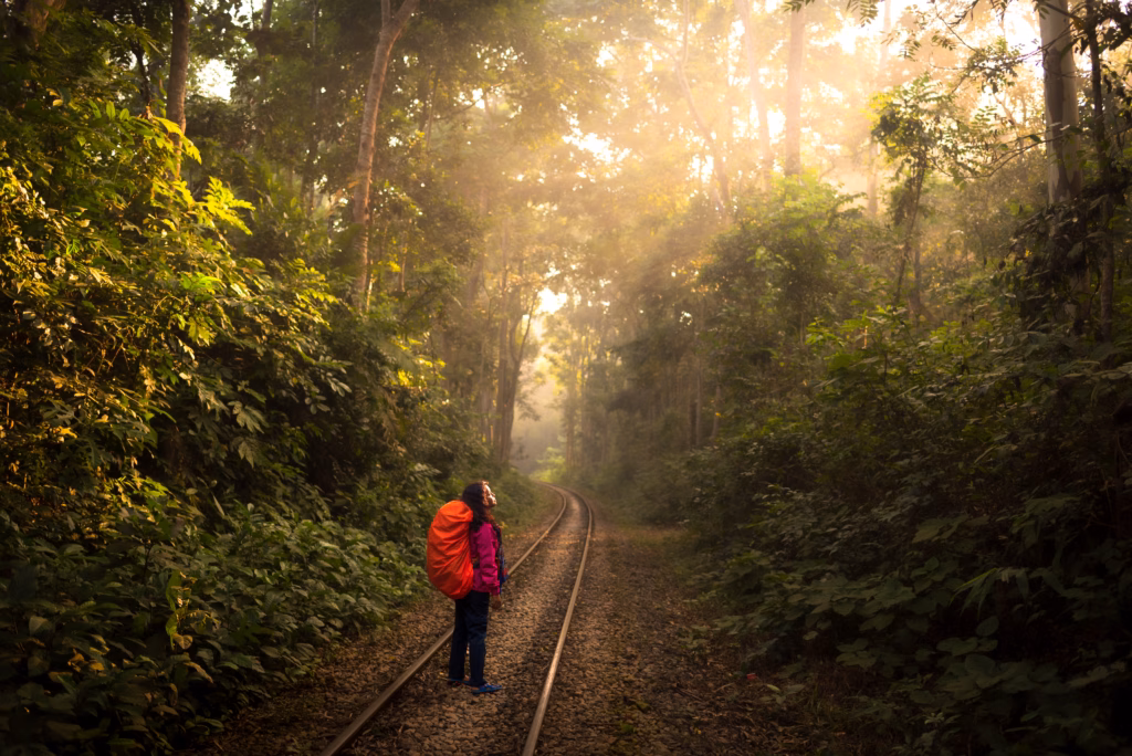 Solo backpacker standing on railway track Lawachara National Park Sreemangal Bangladesh golden morning light through rainforest canopy mist