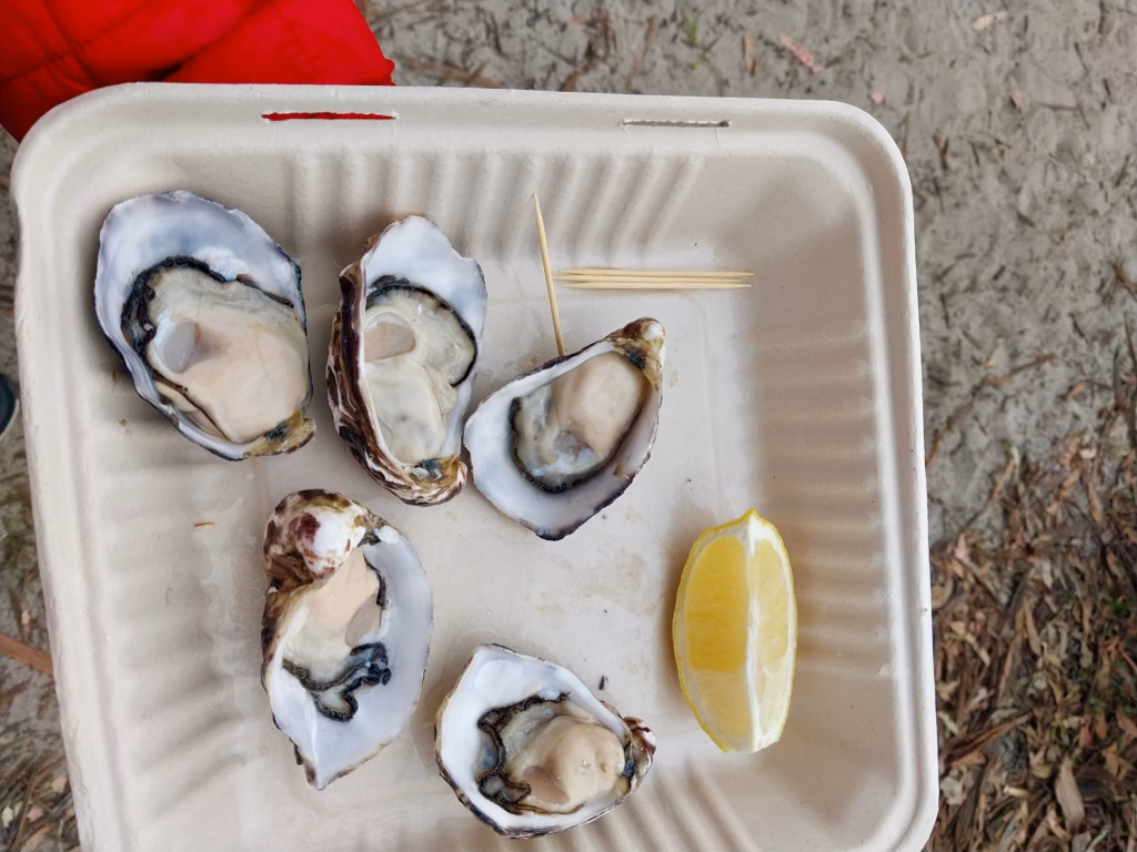 Fresh Get Shucked oysters with lemon on a Bruny Island day trip