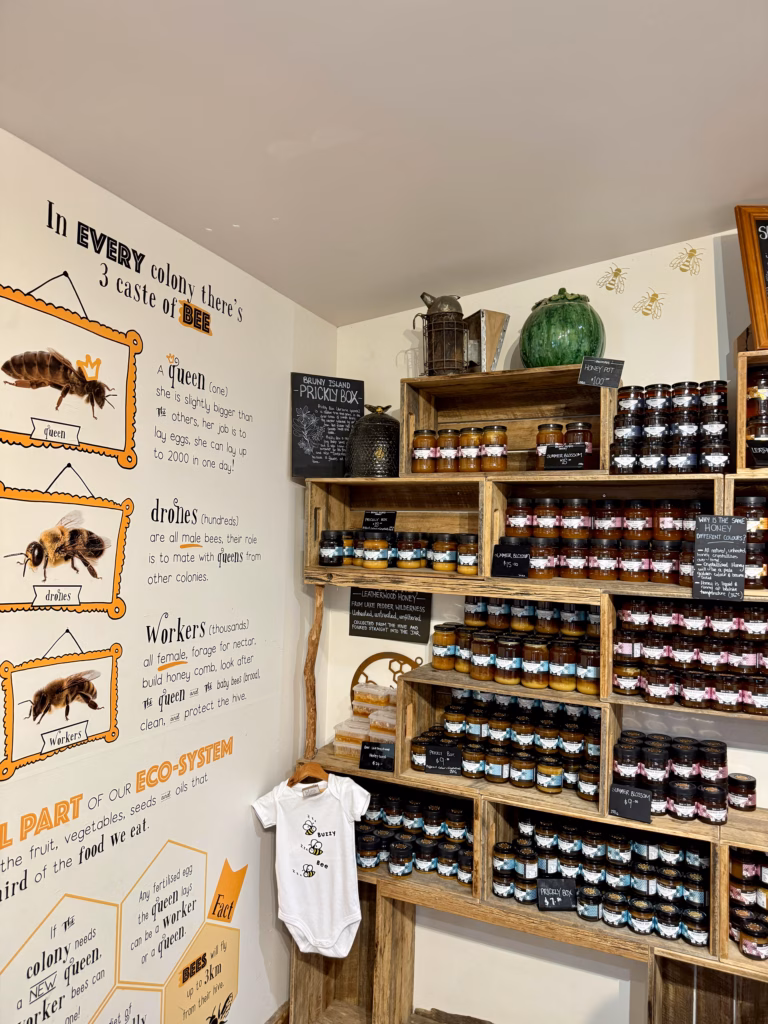Inside the Bruny Island Honey shop with shelves of honey jars