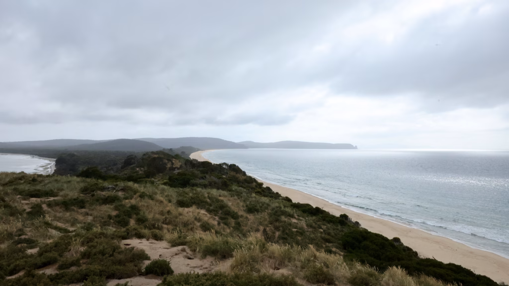 Empty curving beach seen from The Neck lookout on Bruny Island, Tasmania