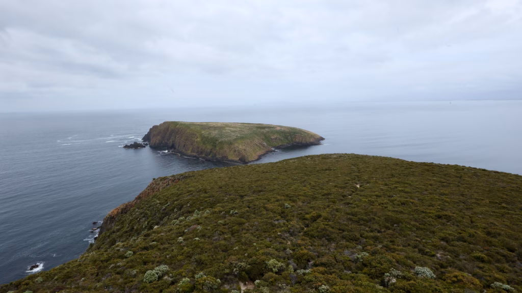 Clifftop and ocean view at Cape Bruny, South Bruny National Park, Tasmania