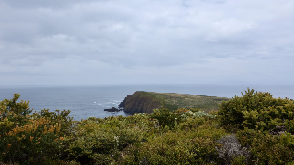Cliffs and coastline near Cape Bruny on a Bruny Island day trip, Tasmania