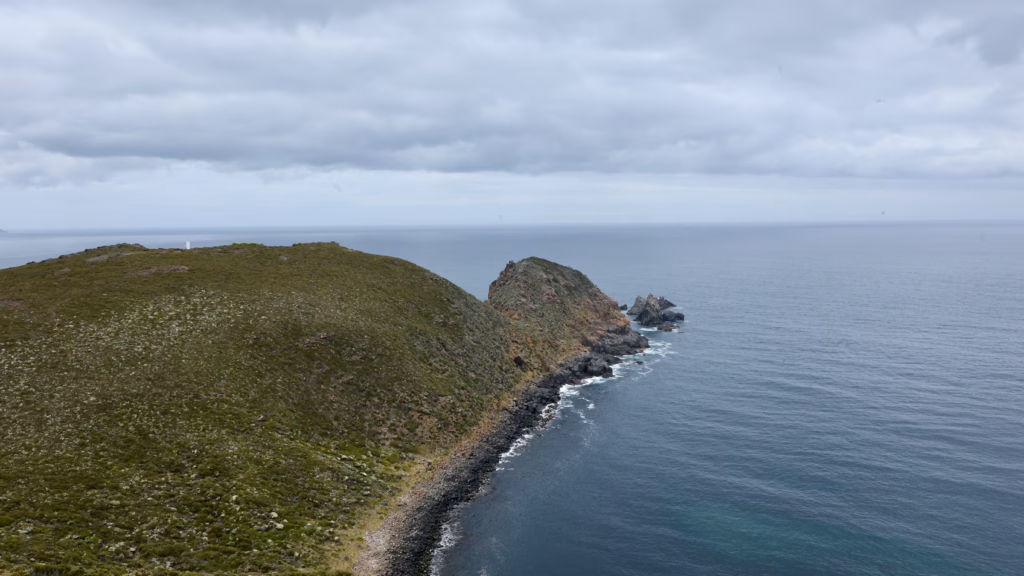 Coastal headland and island viewed from Cape Bruny on a Bruny Island day trip