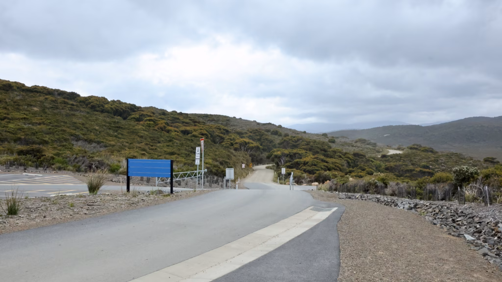 Road through South Bruny National Park on a Bruny Island day trip