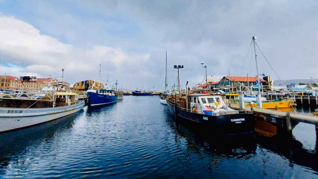Fishing boats moored at Constitution Dock, Hobart, including the boat Clementine