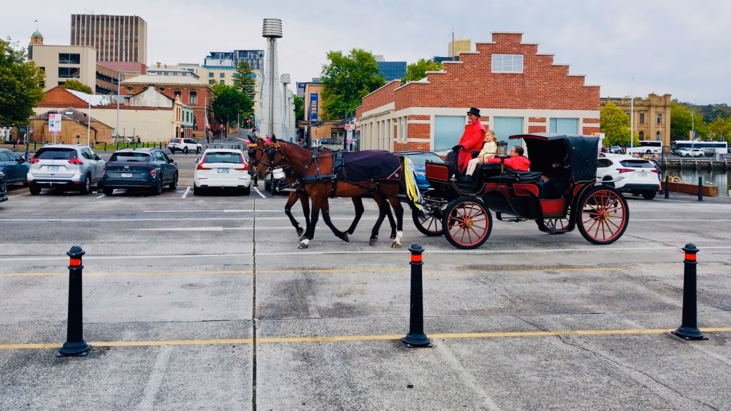 Costumed driver leading a horse-drawn carriage past modern buildings on Hobart's waterfront