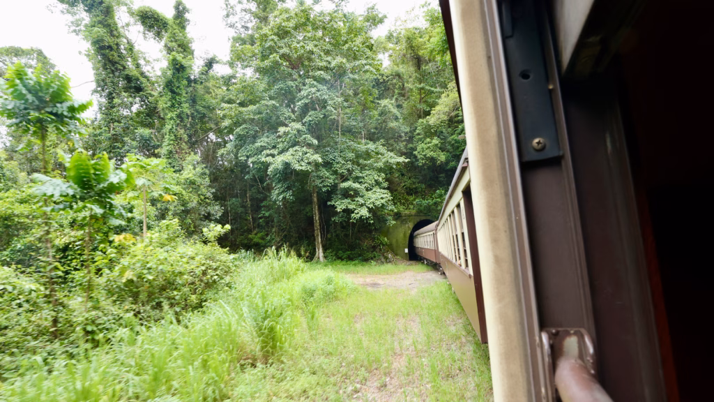 Heritage train entering hand carved tunnel on Kuranda Scenic Railway