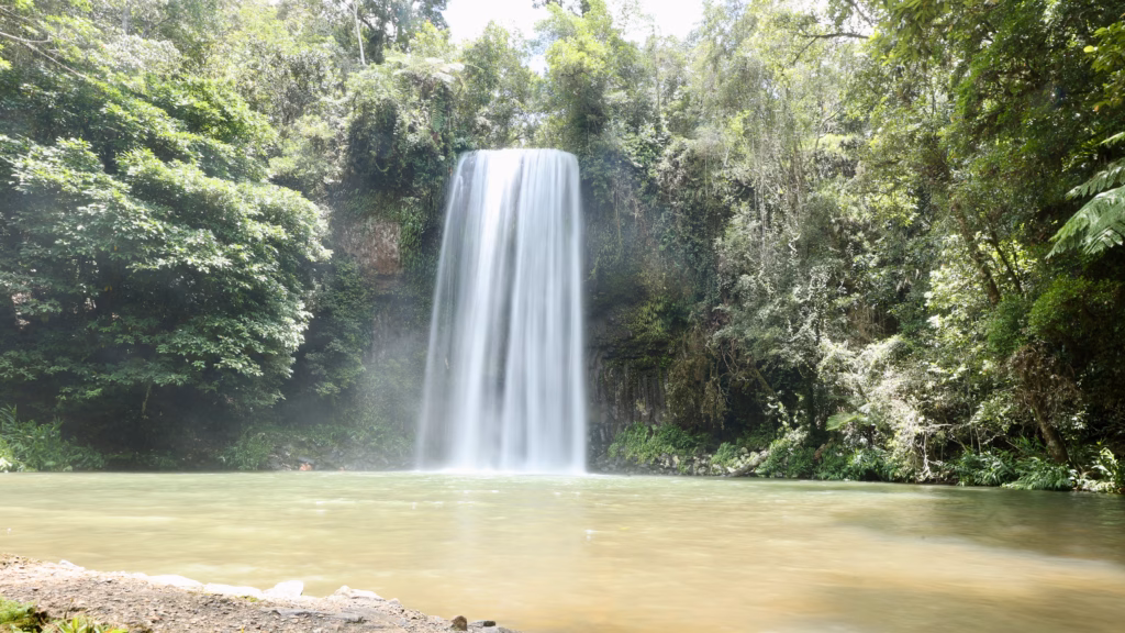 Wet season means louder, fuller, and a lot less Instagram-perfect.