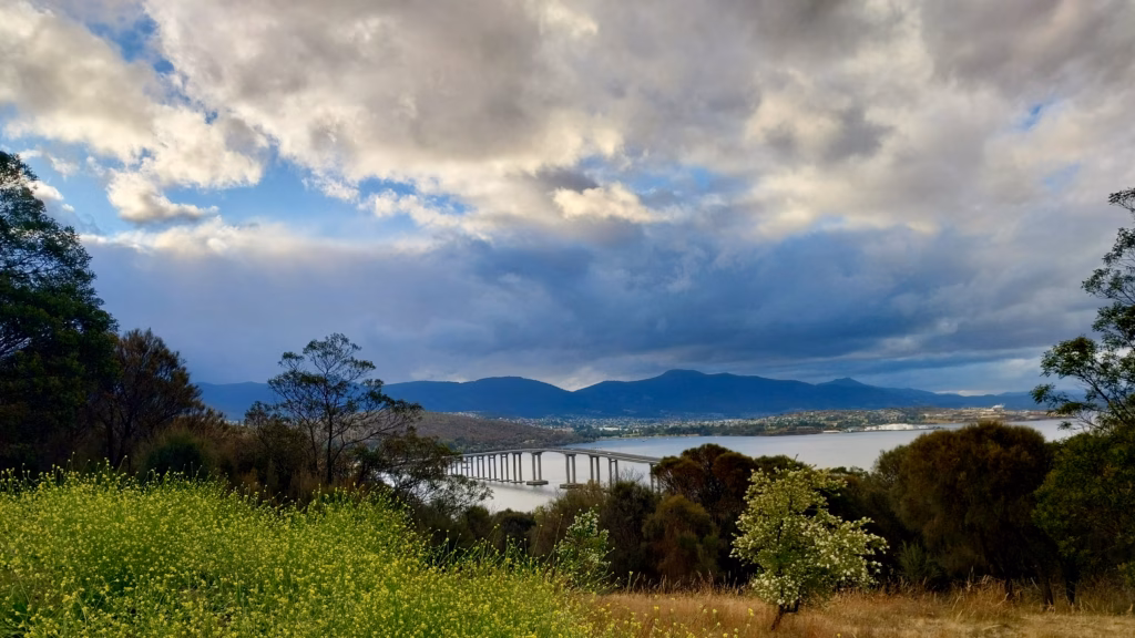 Tasman Bridge seen through wild fennel and grass from the Rosny Hill Circuit Track at pre-sunset