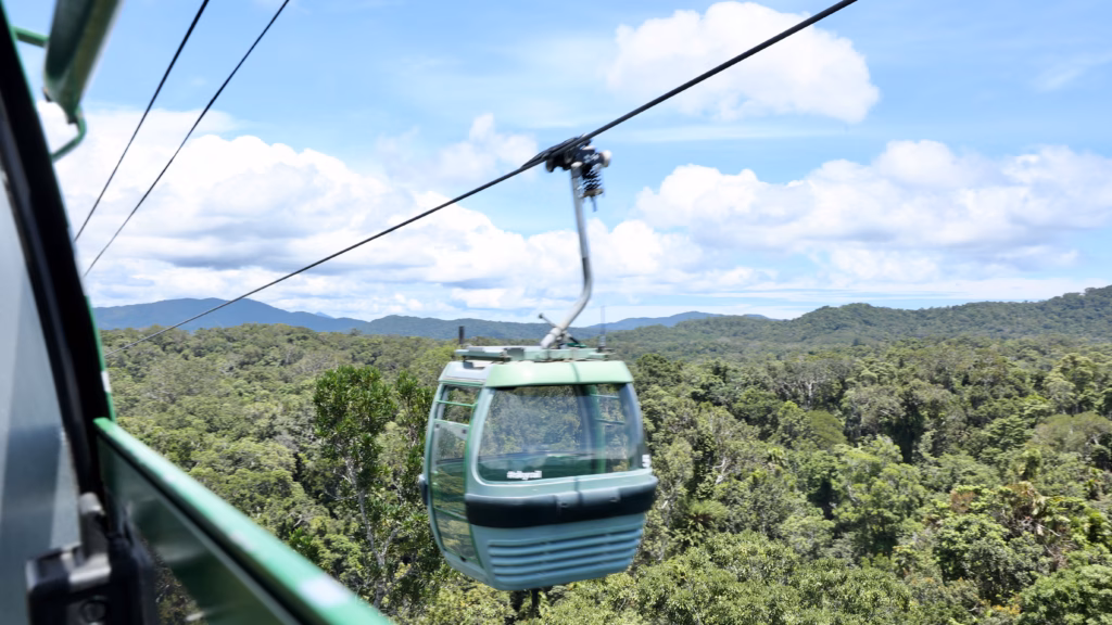 Skyrail cabin photographed from the ground passing overhead in rainforest