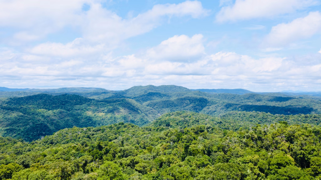 Forested ridgelines seen from Skyrail cabin during ascent