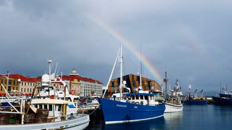 Hobart is so beautiful, you can just sit somewhere and enjoy