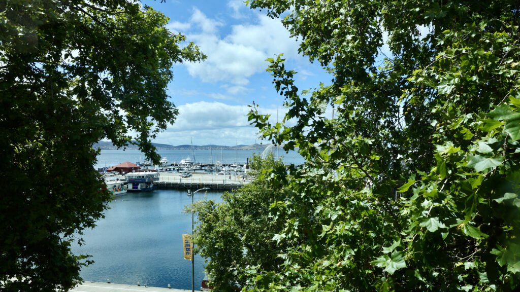 View of Constitution Dock and Hobart waterfront through trees from inside TMAG