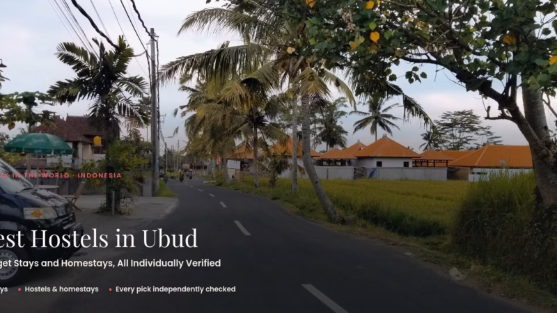 Local road lined with palm trees and rice fields on the outskirts of Ubud, Bali