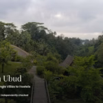 Wooden footbridge through jungle canopy leading to Amori Villas, a hotel in Ubud, Bali