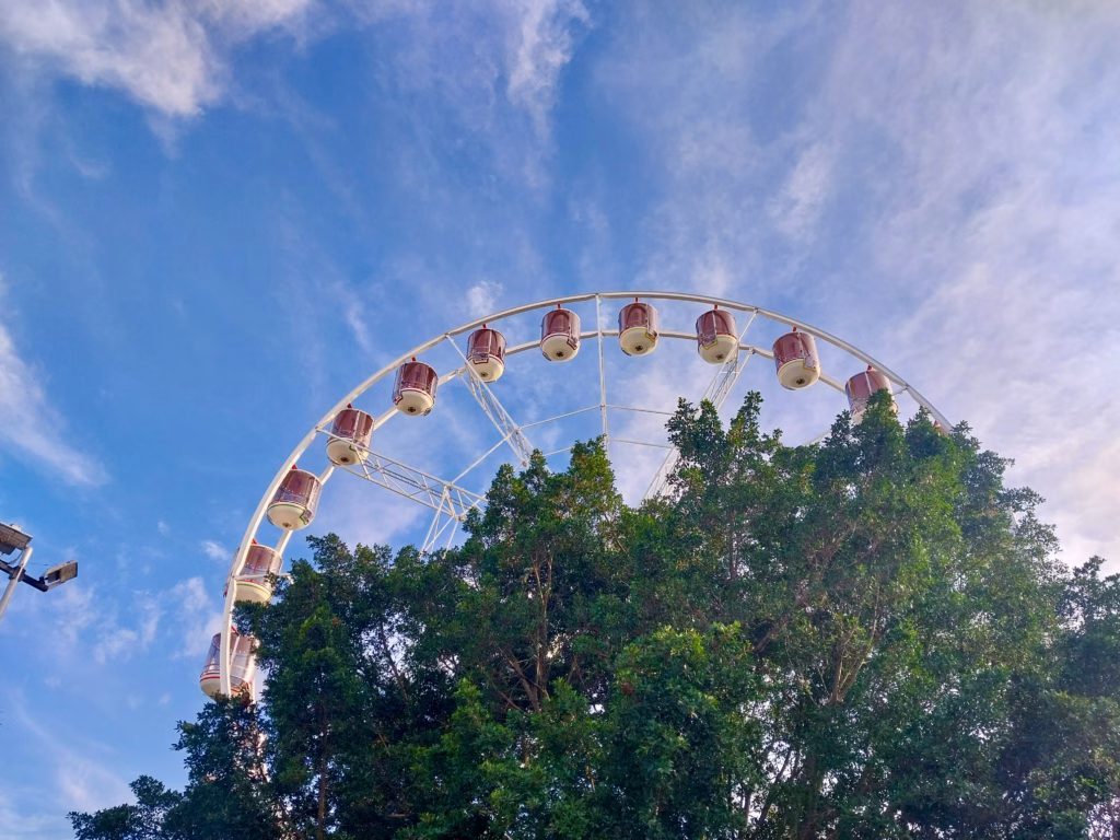A ferris wheel rising above the tree canopy along the Cairns Esplanade