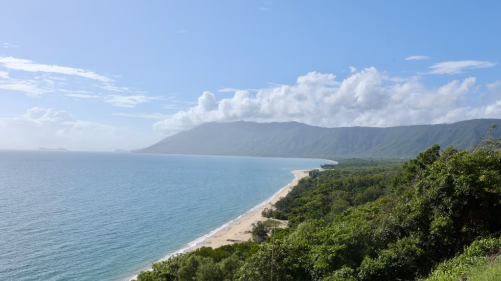 Elevated view from Rex Lookout over a curving beach and headland toward the Coral Sea