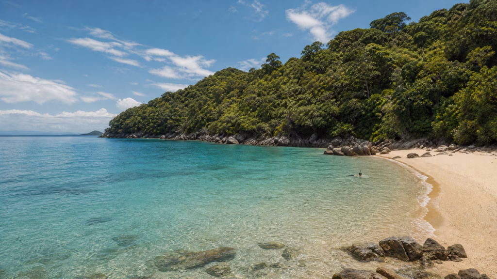 Nudey Beach on Fitzroy Island, clear turquoise water with a snorkeller near the shore