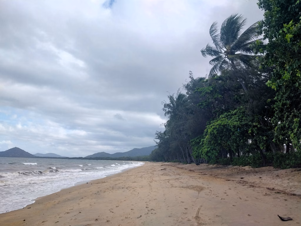 Windy, overcast conditions at Palm Cove Beach in the late afternoon, palm trees bending in the wind