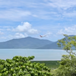 Plane taking off from Cairns Airport, seen from the lookout