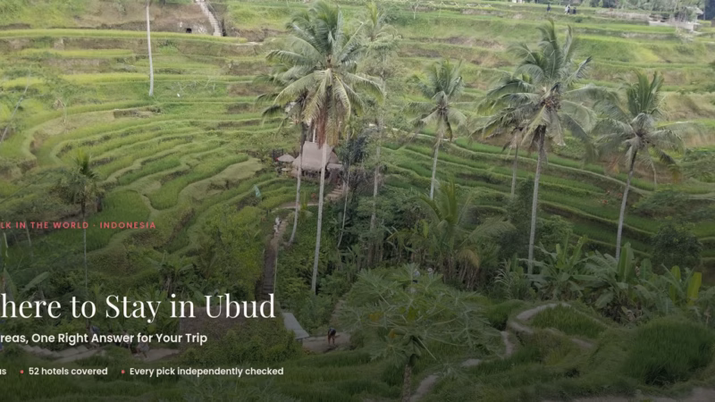 Terraced rice paddies and palm trees in Ubud, Bali