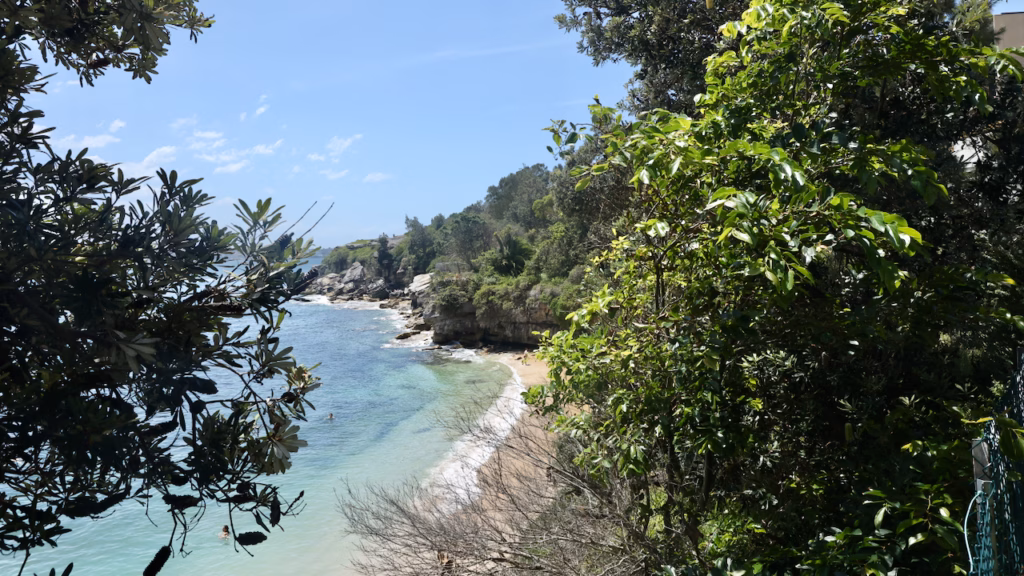 Lady Bay Beach at South Head, Watsons Bay, seen through trees from the South Head Heritage Trail