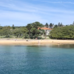 Watsons Bay beach and Robertson Park seen from the water, with heritage houses and fig trees behind